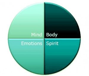 Holistic Health pie chart