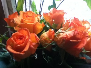 roses_orange