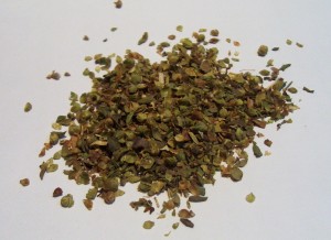 oregano