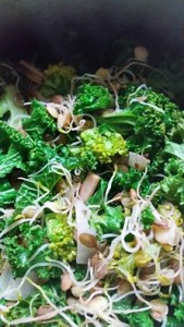 Sprouted_Lentil_StirFry