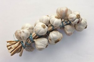 garlic_grappe