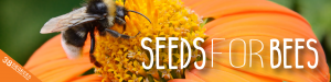 SeedsForBees